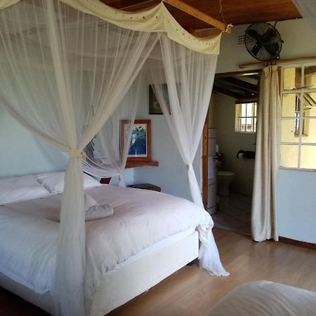 Bushwhacked Barberton Hotel Room photo