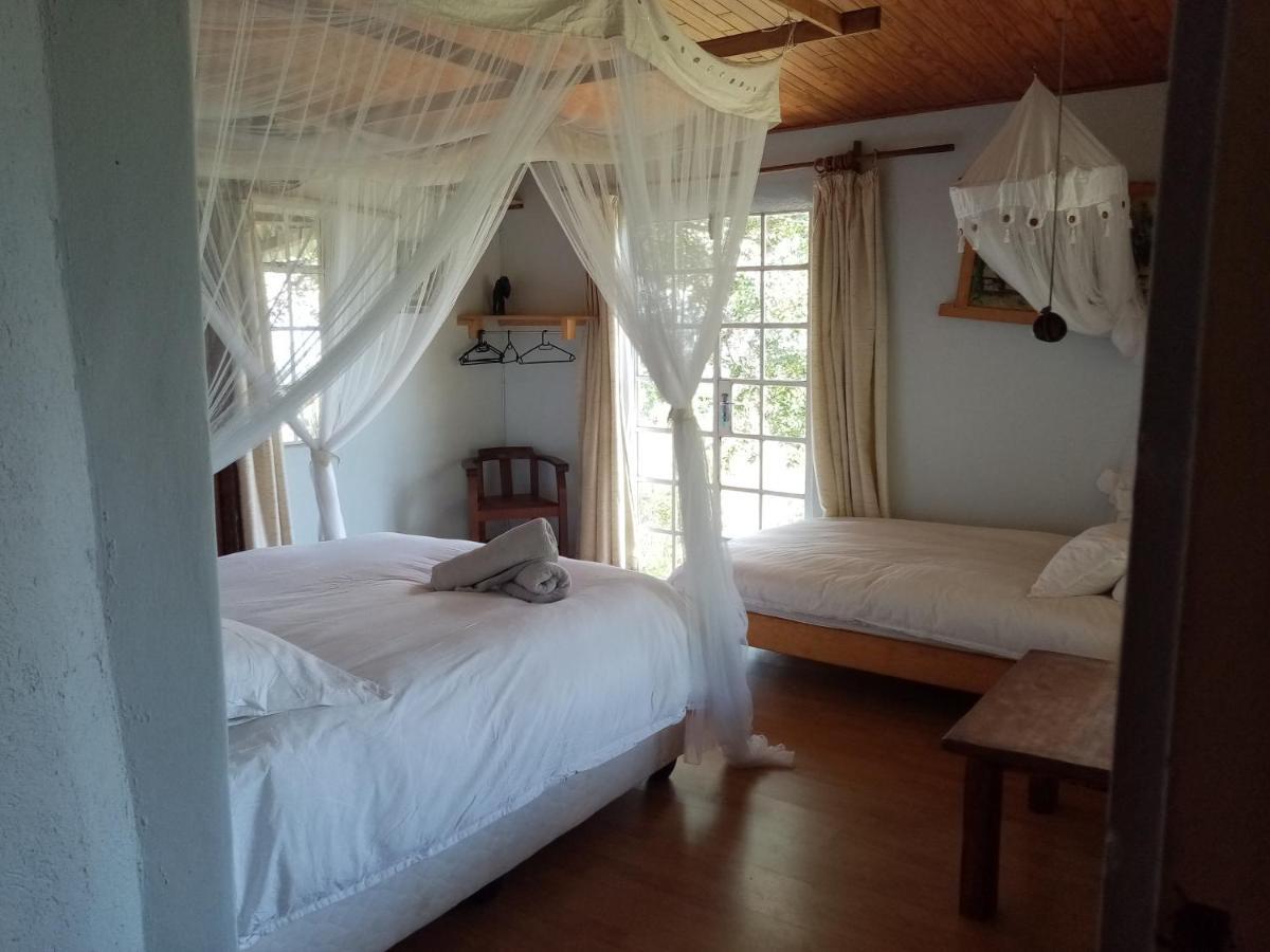 Bushwhacked Barberton Hotel Room photo